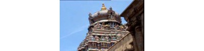 59. திருஎவ்வுள் 